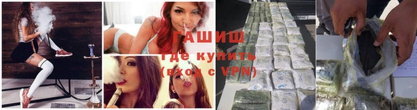 сатива Кукмор