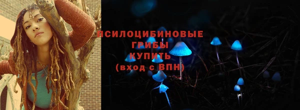 спайс Кулебаки