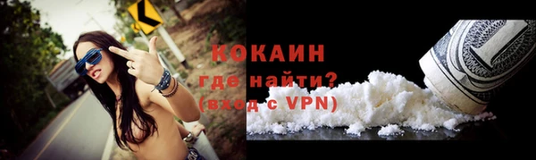 сатива Кукмор