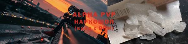 сатива Кукмор