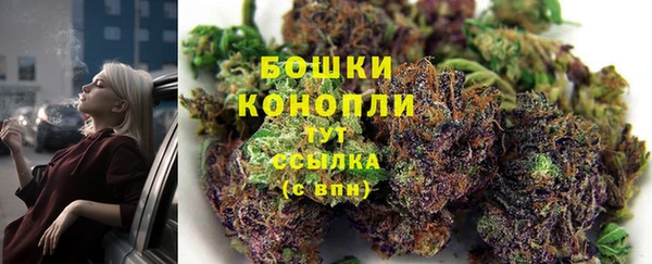 спайс Кулебаки