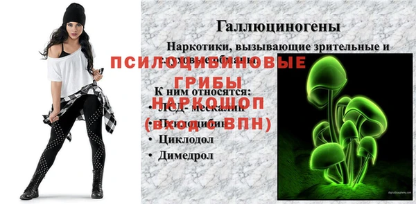 спайс Кулебаки