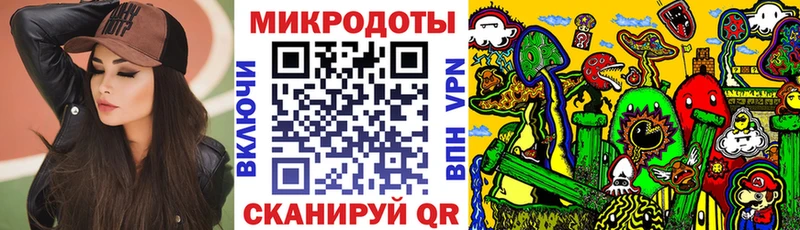 Купить  Артём  Галлюциногенные грибы Psilocybine cubensis 